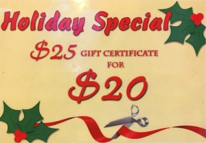 nick's pizza holiday special